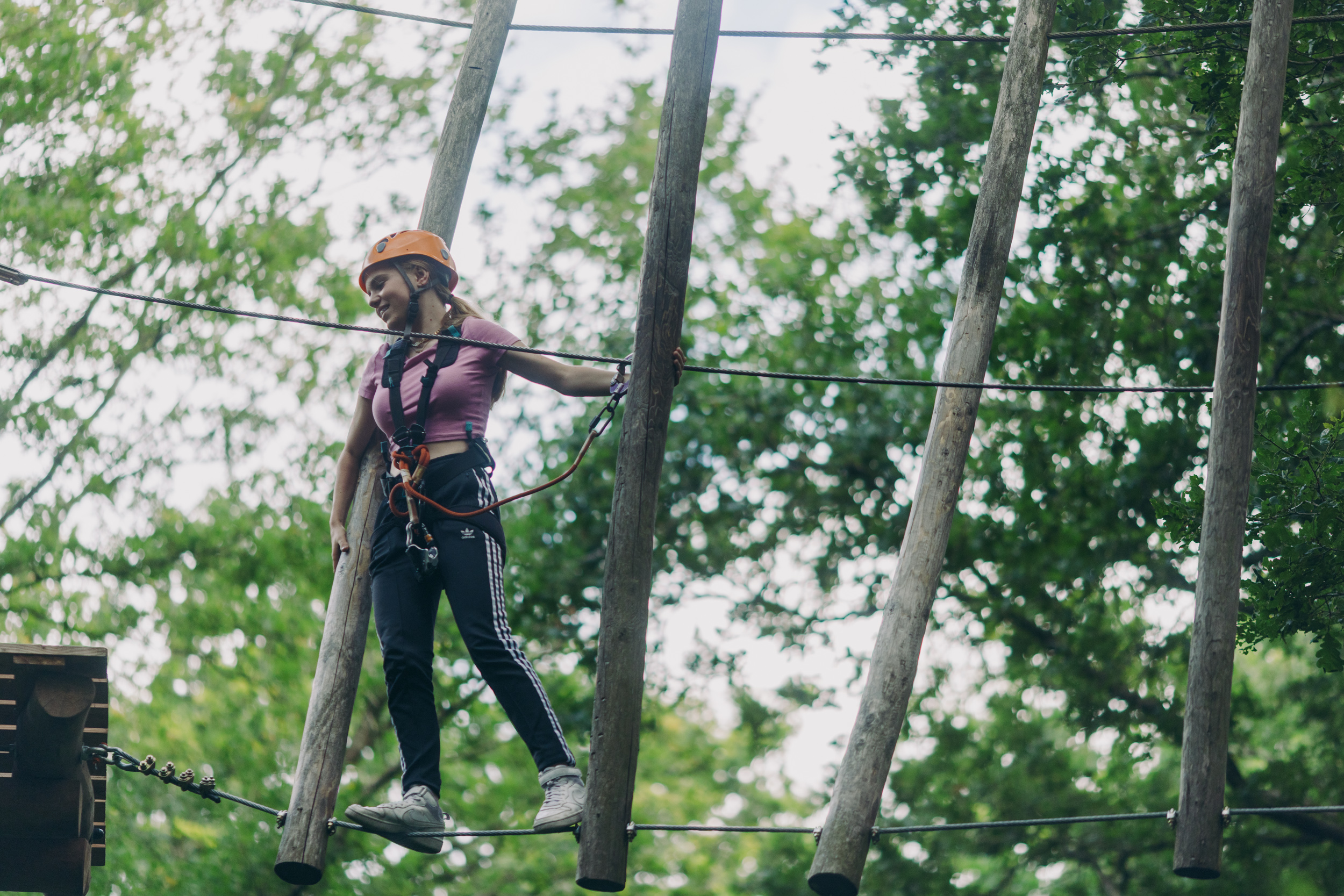 Klimbos Overijssel in Paasloo